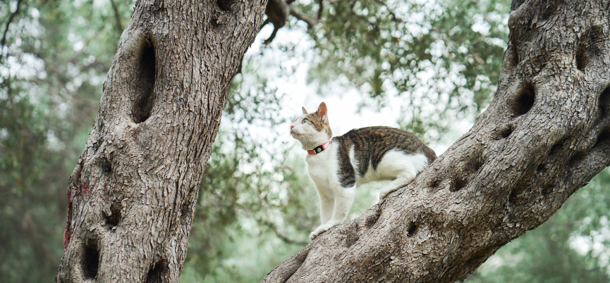 Recycled Nylon: The Sustainable Choice